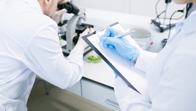 Researchers discovered that iron minerals can help break down harmful pollutants from plastic, offering hope for curbing plastic pollution.