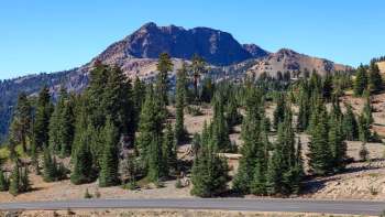 Researchers found promising evidence that the critically endangered Sierra Nevada red fox is still holding on.