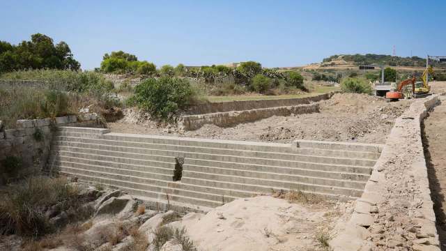 A collaborative effort to restore historic Speranza Valley is finally complete. The project’s intention was to revive the local ecosystem by removing invasive species and planting 300 new native trees and shrubs.