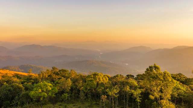 Scientists spotted a rare striated grassbird in a wildlife sanctuary in India, the first sighting in over 100 years.
