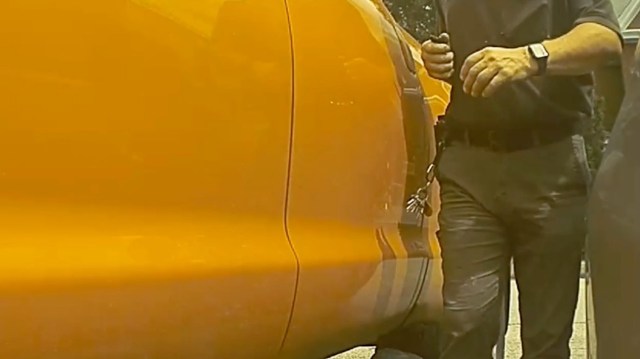 A Tesla Model 3 owner shared footage of a truck driver swinging their door straight into the side of a parked EV.