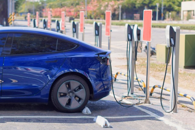 A Tesla customer was outraged after a store manager disabled their vehicle while it was charging.