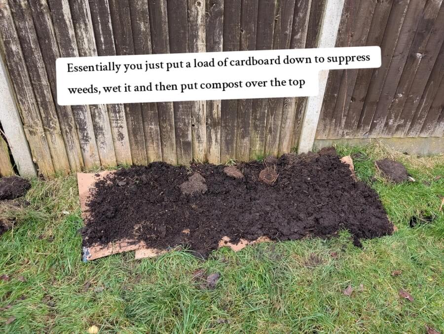 One gardener shared a simple no-dig gardening technique on TikTok that turns a boring lawn into a thriving wildflower haven.