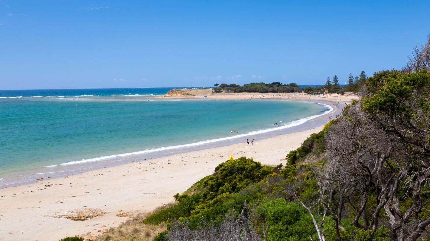 A baby gummy shark sighting prompted warnings for beachgoers in Torquay in Victoria, Australia, urging caution in the ocean.