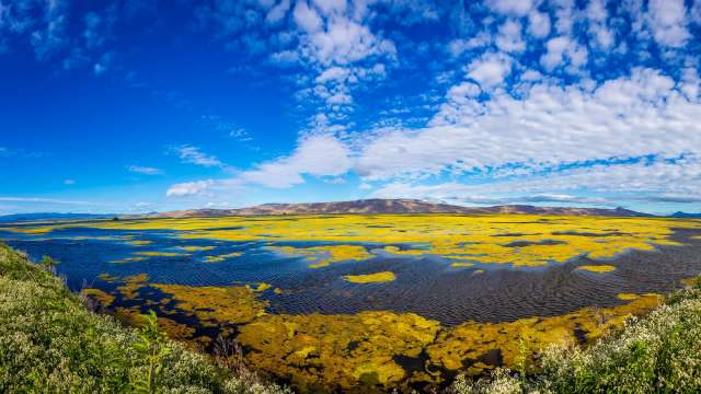 The state of California returned more than 17,000 acres of land to the Tule River Indian Tribe — the largest land return in the Sierra Nevada's foothills.