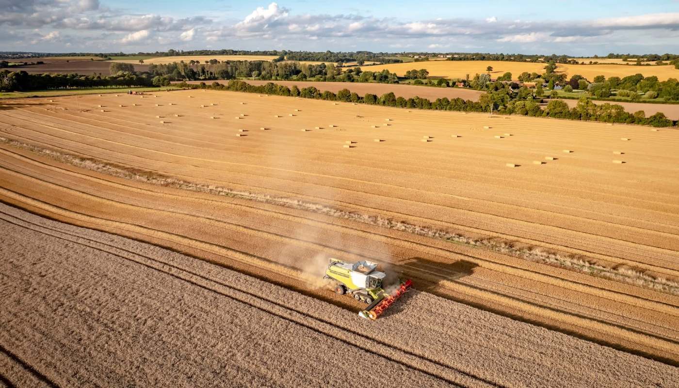 British farmers lost over £800 million ($1 billion) worth of crops during 2025 after scorching temperatures and dry conditions decimated their harvests.
