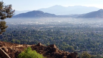 Companies around the world are grappling with the increasing cost of energy.