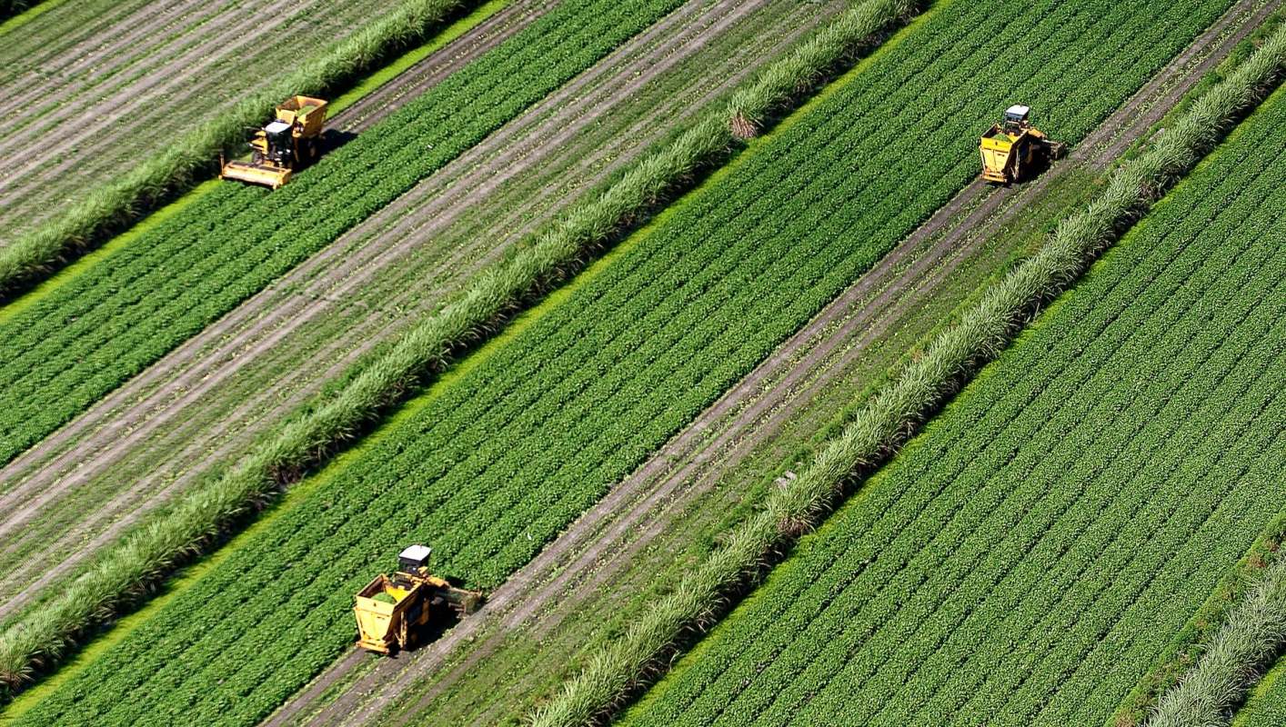 The University of Florida is re-envisioning the future of farming, with a little help from artificial intelligence.