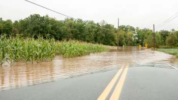 The fallout from rising global temperatures could be disastrous for coastal communities in Virginia, a report has detailed.