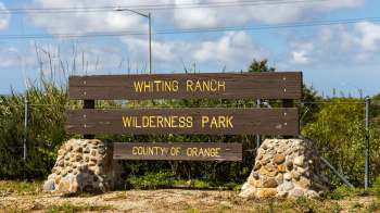 Whiting Ranch Wilderness Park had to close after several concerning encounters with a mountain lion.