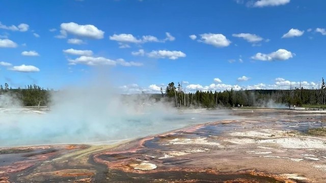 One furious Yellowstone National Park visitor took to Reddit to describe witnessing a family blatantly disregard the park's safety and preservation regulations.