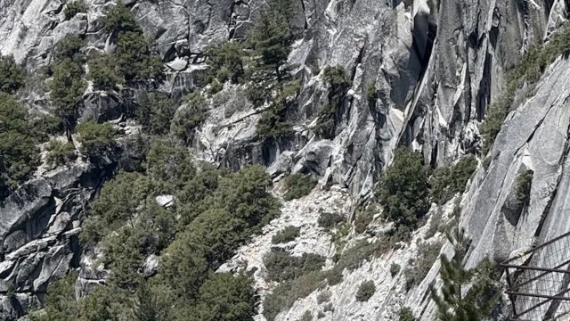 One Reddit user's shared a frustrating experience with tourists not respecting the safety barriers at Yosemite National Park.