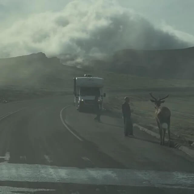 Two tourists got within several feet of an elk in Rocky Mountain National Park in a risky move.