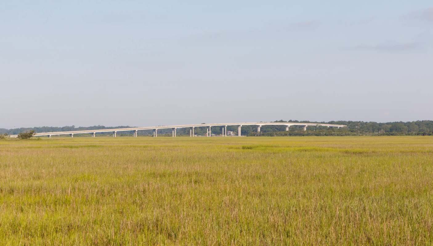 One college is launching a novel training site to teach students about agrivoltaics — an innovative combo of solar panels and sheep farming.