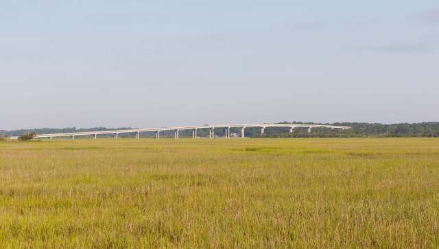 One college is launching a novel training site to teach students about agrivoltaics — an innovative combo of solar panels and sheep farming.