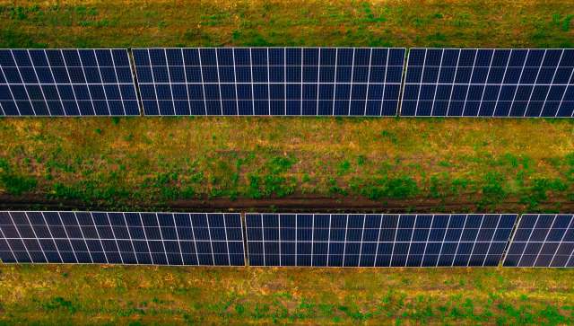 Researchers from Washington State University have determined that agrivoltaics show massive promise for the state's agricultural future.