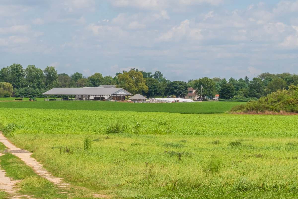 A new pilot program dedicated to agrivoltaics will soon take place on New Jersey's farmland.