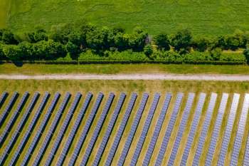 One Puerto Rican farmer has developed an agrivoltaics system to both grow coffee and produce solar energy.
