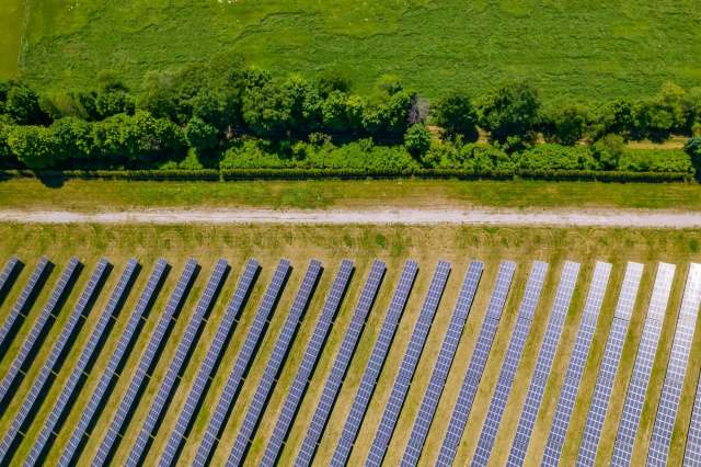 One Puerto Rican farmer has developed an agrivoltaics system to both grow coffee and produce solar energy.
