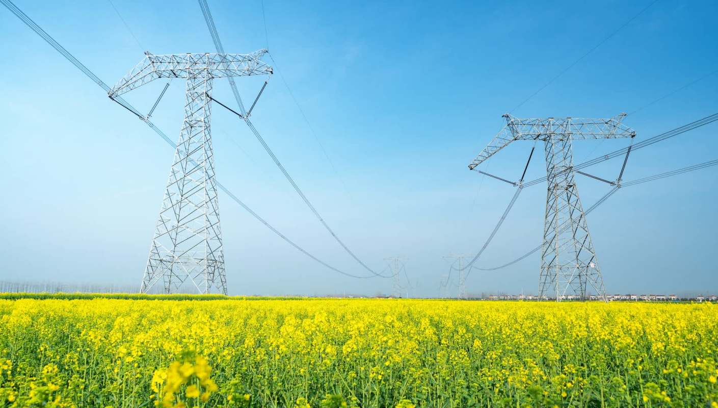 Agrivoltaics involves solar panels that are mounted high enough off the ground for crops to thrive underneath or for animals to move freely between supports.