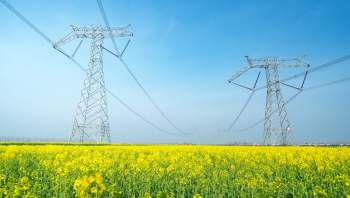 Agrivoltaics involves solar panels that are mounted high enough off the ground for crops to thrive underneath or for animals to move freely between supports.