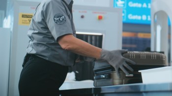 An Israeli man returning from Thailand was caught with contraband of an unusual sort — over 100 exotic reptiles, amphibians, and crustaceans.