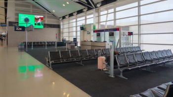 Customs representatives in Bengaluru, India, recently seized a white-cheeked gibbon, a monkey, and a hornbill in a case of wildlife smuggling.