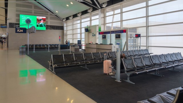 Customs representatives in Bengaluru, India, recently seized a white-cheeked gibbon, a monkey, and a hornbill in a case of wildlife smuggling.