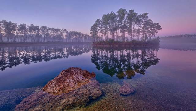 Onlookers were stunned when adults had small children pose next to an Everglades alligator.