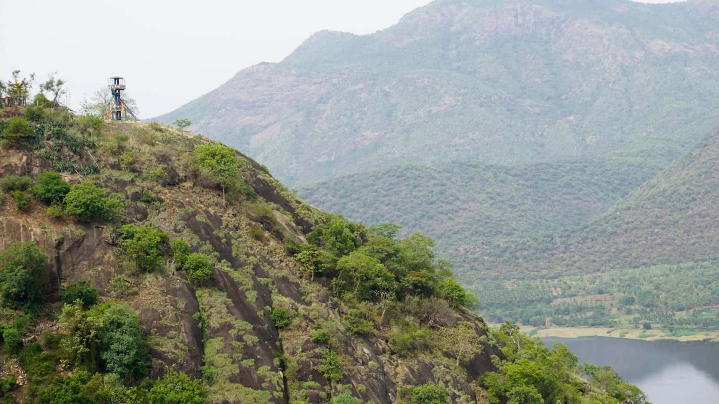 Two female Amur falcons were spotted in Point Calimere in Tamil Nadu, a region in Southern India, confirmed by the Bombay Natural History Society.