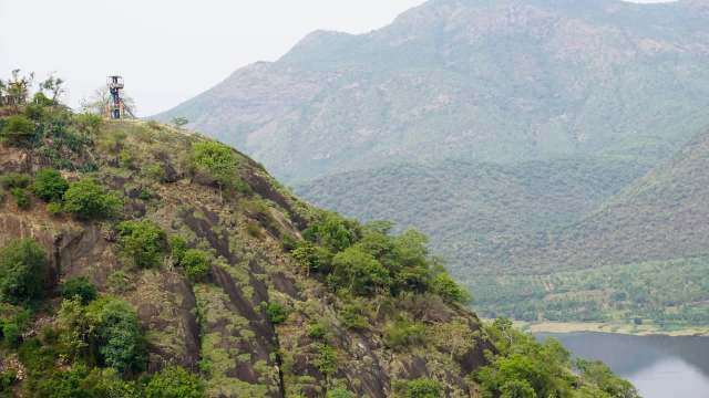 Two female Amur falcons were spotted in Point Calimere in Tamil Nadu, a region in Southern India, confirmed by the Bombay Natural History Society.