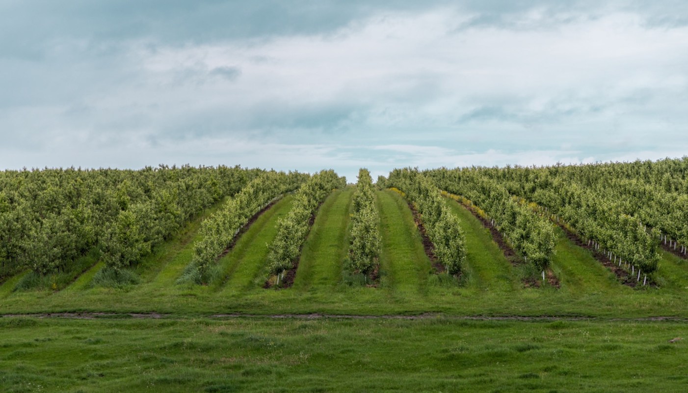 Farmers and lawmakers are pushing for financial support for those affected in the apple industry.