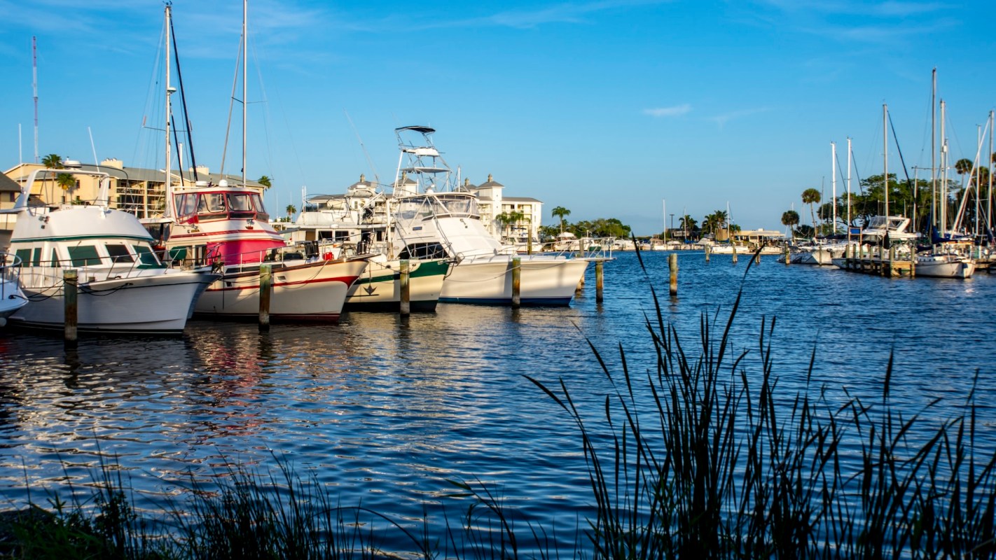 The armored catfish is an invasive fish species spreading along the Florida coast and harming vulnerable native animals.