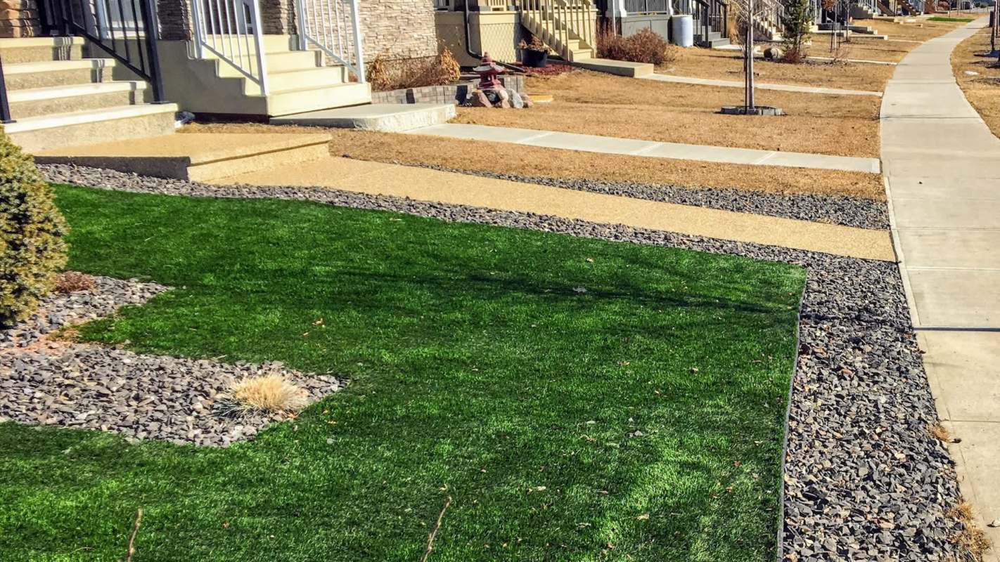 One British Redditor's shared their disdain for artificial grass and how it negatively impacts wildlife.