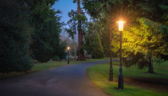 Artificial light at night is fundamentally altering how ecosystems breathe, causing them to release more carbon dioxide than they usually would.