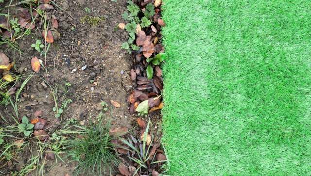 A London homeowner sparked a lively debate after asking a Reddit community whether they could replace artificial turf with a small patch of real grass.