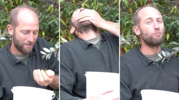 One man in Connecticut is revealing how easy it is to forage autumn olive berries — for free.