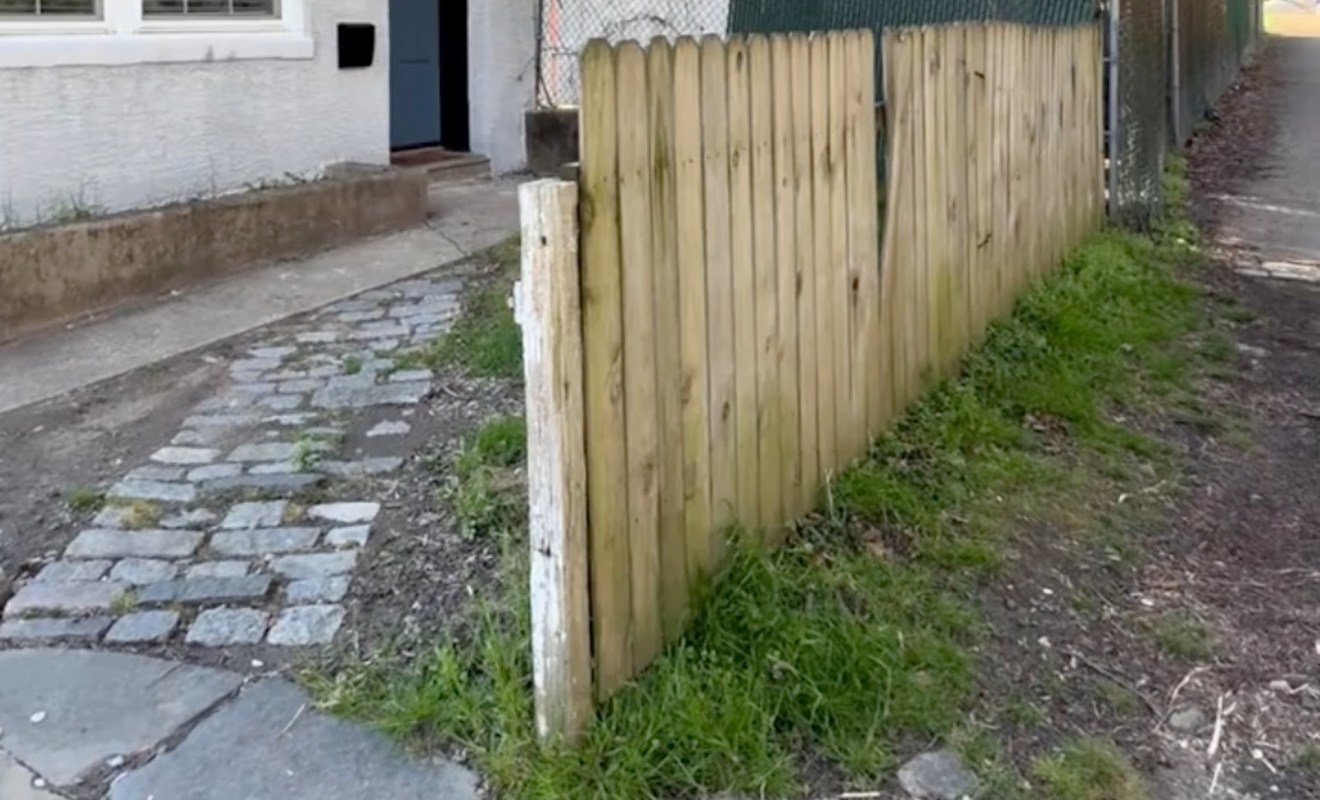 Gardener Skye succeeded in a dramatic transformation of her property over 18 months, ending with a magical backyard garden.