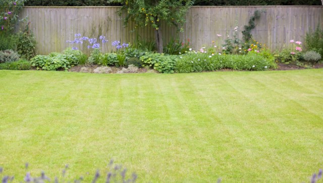 One Redditor was shocked when they stumbled upon a nest of baby tortoises in their garden.