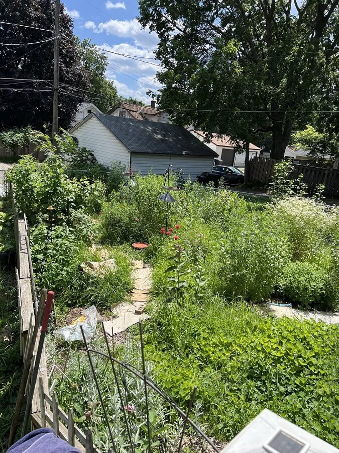 A post in the r/Minnesota_Gardening subreddit is drawing attention for its spotlight on rewilding a backyard.