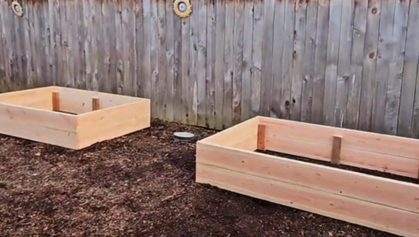 One gardener's incredible backyard transformation revealed beautiful galvanized garden beds and lush greenery.