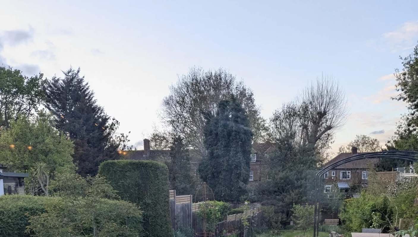 A British gardener wowed fellow Redditors with a series of pictures showcasing their yard's incredible transformation.