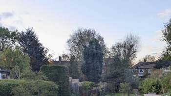 A British gardener wowed fellow Redditors with a series of pictures showcasing their yard's incredible transformation.