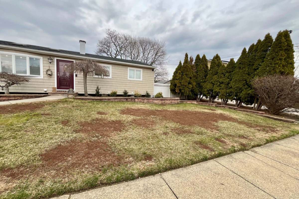 An Italian Redditor faced challenges with bad neighbors recently, and looked to a Reddit community for advice.