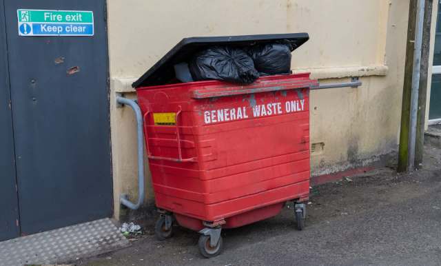 One lucky dumpster diver scored a shocking surplus of ripe bananas — and made sure they didn't go to waste.