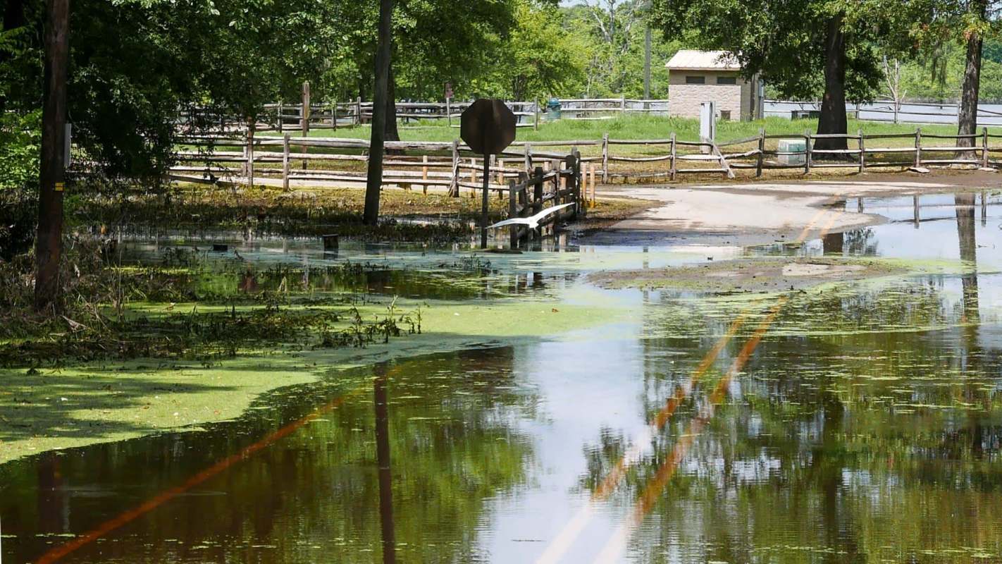 At least one insurance company has gone bankrupt rather than try to pay the homeowners insurance claims that it owes.