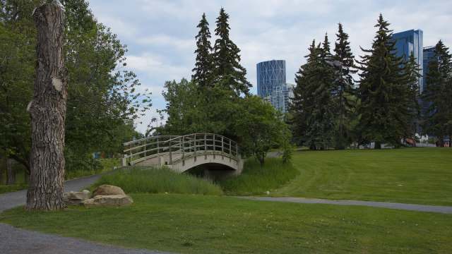 A wildlife photographer in Canada was left speechless after inadvertently capturing images of a rare barn owl.