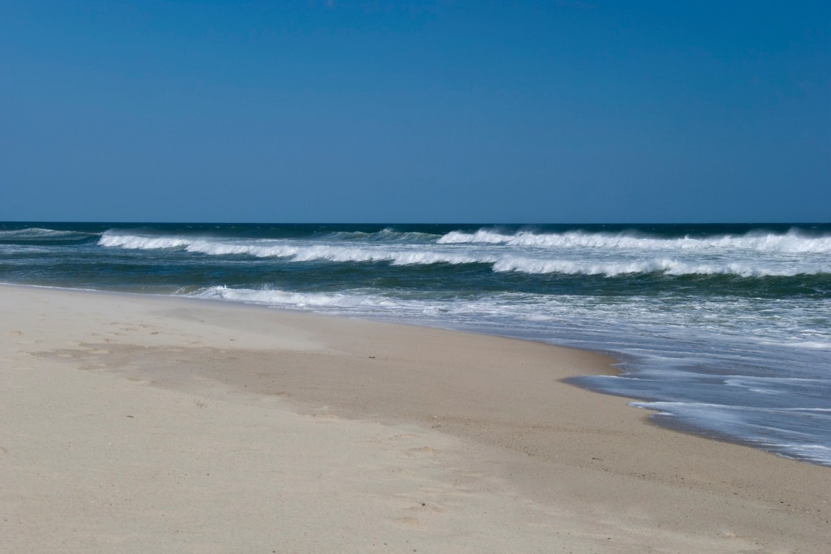 Scientists are concerned about the declining great white shark population along South Africa's coast.