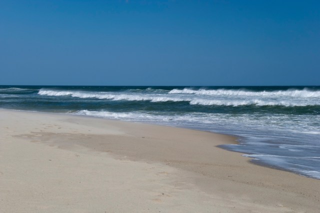 Scientists are concerned about the declining great white shark population along South Africa's coast.