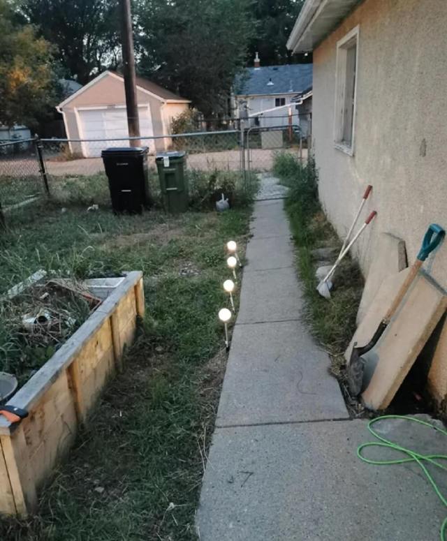 One Redditor shared a bundle of images showing their small yard's transformation from a simple grass patch in 2021 to a native plant garden.